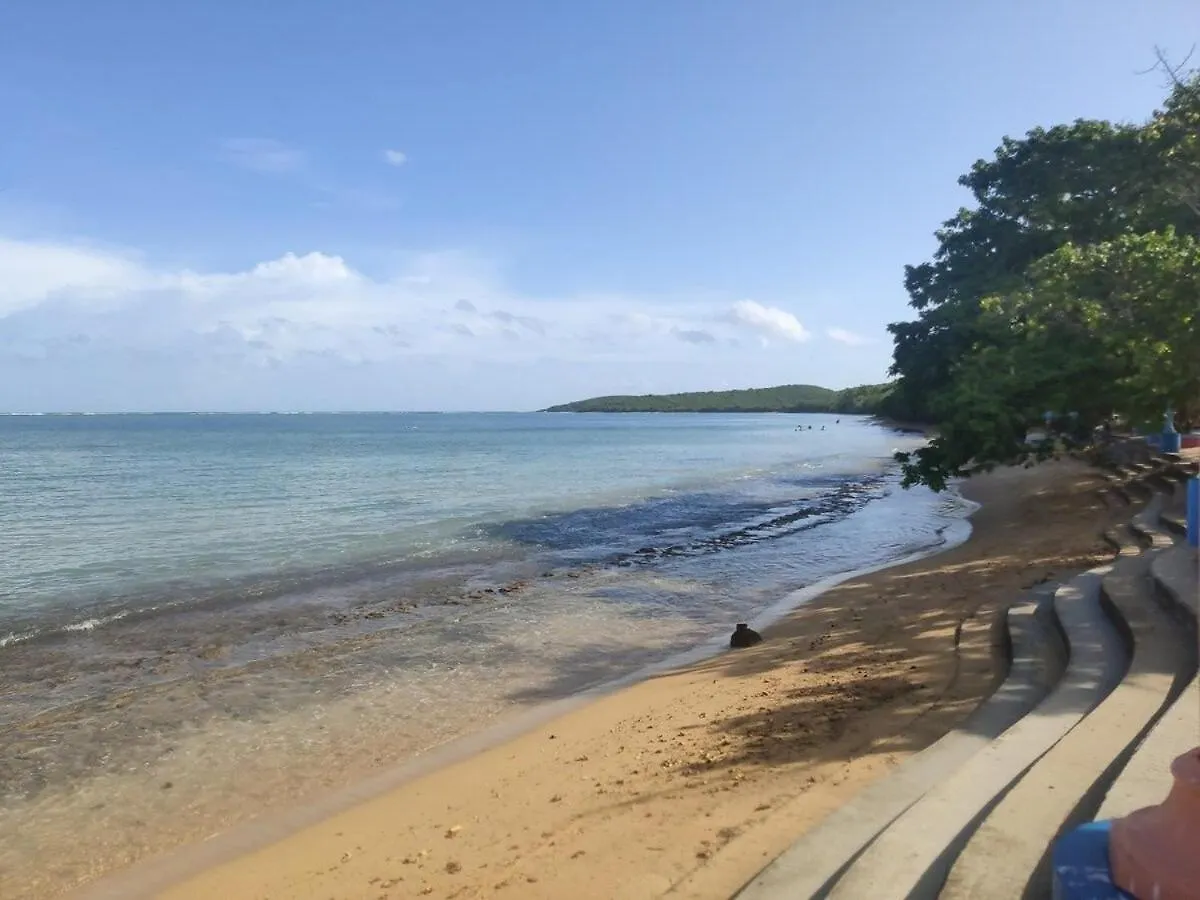 פחרדו Master Beachfront Studios Seven Seas 0*,  פוארטו ריקו