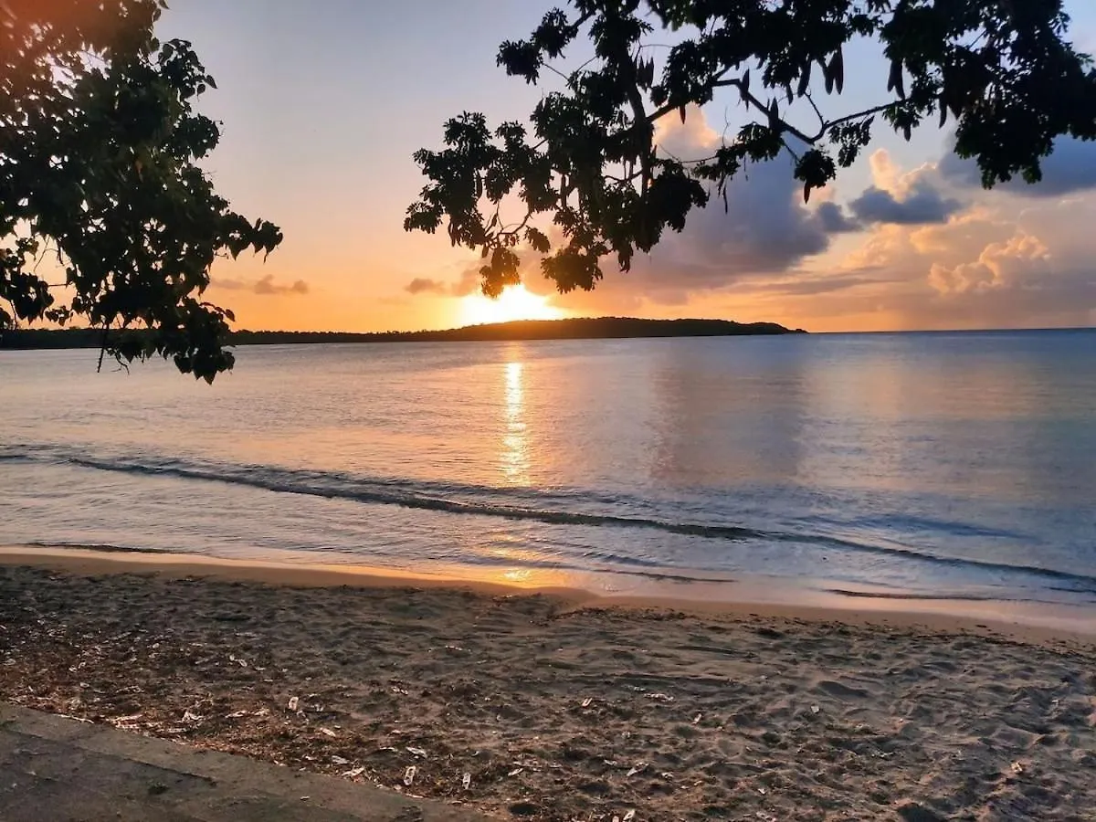 Master Beachfront Studios Seven Seas Fajardo