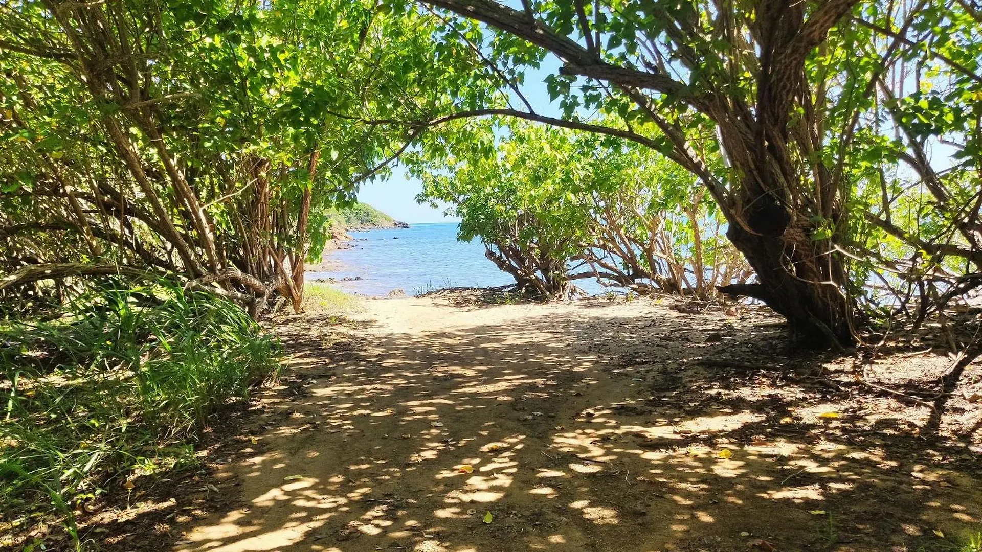 Master Beachfront Studios Seven Seas Fajardo Puerto Rico